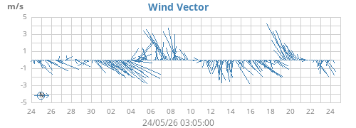 Wind Vector